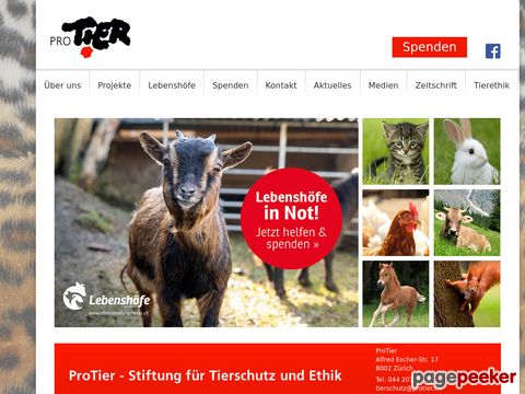Schweizerische Gesellschaft für Tierschutz: Pro Tier