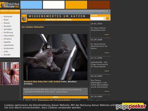 Digitale Katzenfibel - Wissenswertes rund um Katzen und ihre Haltung.
