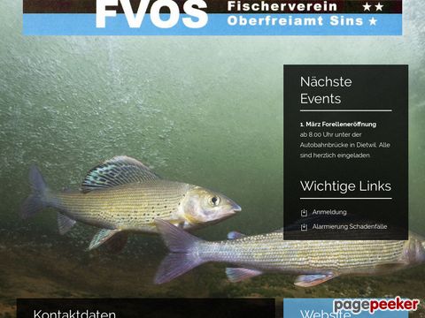Fischereiverein Oberfreiamt-Sins