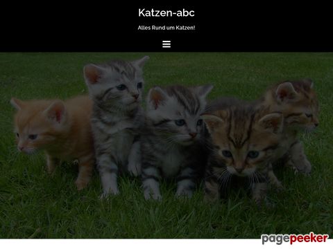 katzen-abc.de - Katzen-ABC - Alle wichtigen Informationen rund um Katzen