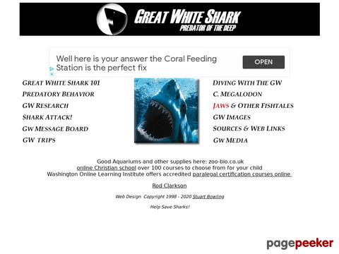 greatwhite.org - The Great White Shark - Predator of the Deep