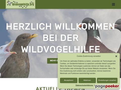 Wildvogelhilfe.org - Praktische Tipps für Vogelfreunde