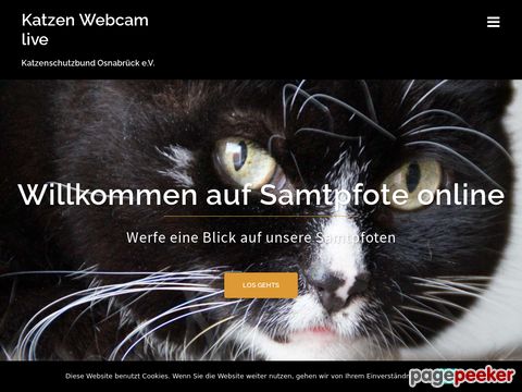Samtpfote-online - Das Online-Magazin des Katzenschutzbund Osnabrück e.V. (Deutschland)