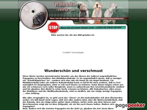 kakadu-info.de - Kakadu - Kakadus - Alles über Kakadus 