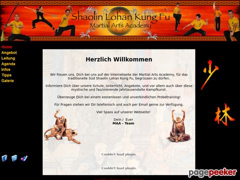Shaolin Kung Fu in Zürich