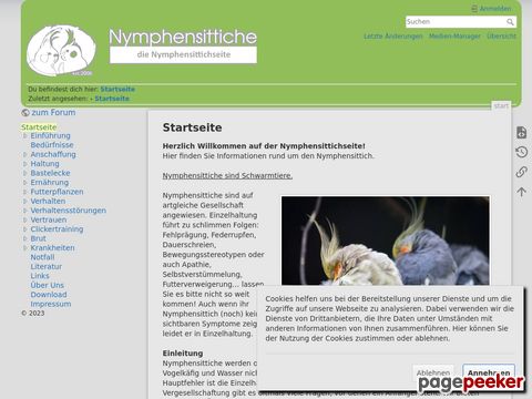 Nymphensittich Seite - Informationen rund um Nymphensittiche