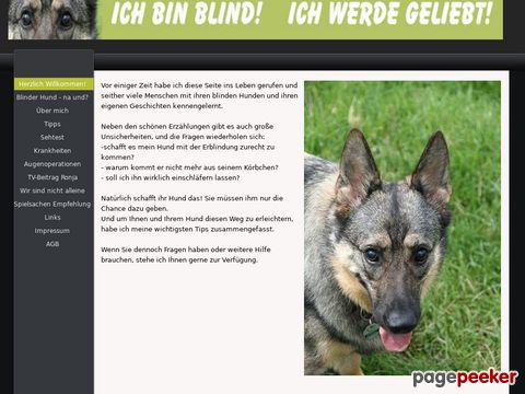blinde-hunde.de - Blinde Hunde