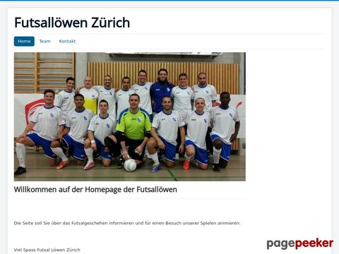 Futsal Löwen Zürich